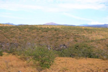 Kosta Rika 'daki Rincon de la Vieja an guanacaste Milli Parkı yakınlarındaki manzara