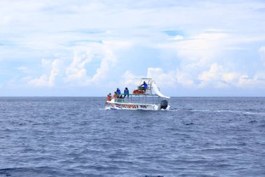14 Mart 2023 - Kosta Rika 'da Samara, Guanacaste: Pasifik' te Yunusları İzlemek İçin Tekne Gezisi