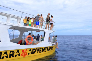 14 Mart 2023 - Kosta Rika 'da Samara, Guanacaste: Pasifik' te Yunusları İzlemek İçin Tekne Gezisi