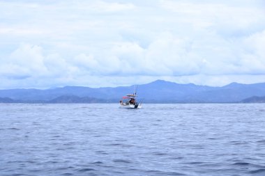 14 Mart 2023 - Kosta Rika 'da Samara, Guanacaste: Pasifik' te Yunusları İzlemek İçin Tekne Gezisi