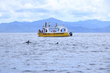 14 Mart 2023 - Kosta Rika 'da Samara, Guanacaste: Pasifik' te yunusları izlemek için tekne gezisi