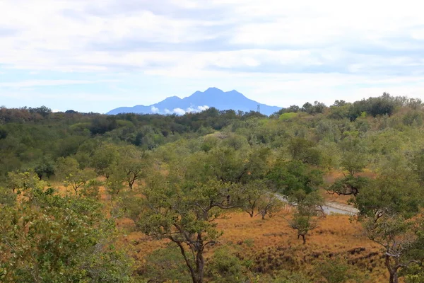 Τοπίο Κοντά Στο Εθνικό Πάρκο Rincon Vieja Guanacaste Στην Κόστα — Φωτογραφία Αρχείου