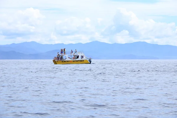 Března 2023 Samara Guanacaste Kostarice Výlet Lodí Sledovat Delfíny Pacifiku — Stock fotografie