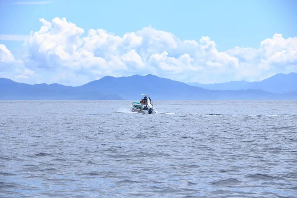 2023 코스타리카 의과나 사마라 태평양의 돌고래 구경을 — 스톡 사진