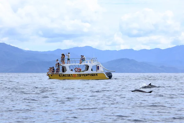 14 Mart 2023 - Kosta Rika 'da Samara, Guanacaste: Pasifik' te yunusları izlemek için tekne gezisi
