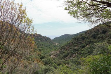 Sardunya 'daki Cardedu çevresindeki dağlık yürüyüş alanı.