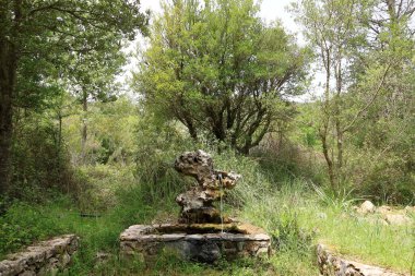 Barbagia Ulusal Parkı 'nda kireçtaşı kayaları ve yeşil orman tepeleriyle dağ yürüyüşü. İtalya 'da Merkez Sardunya, yaz günü