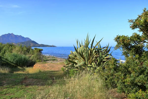 Panoramic View Spiaggia Barisoni Beach Tertenia Sardinia Italy — Stock Photo, Image