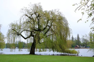 Schwerin Gölü (Almanca: Schweriner See) bulutlu bir günde kalede ve şehirde