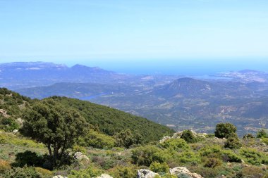 İtalya 'da Biddamanna Istrisili yakınlarındaki sardunya dağ manzarası, Villagrande Strisaili Arzana