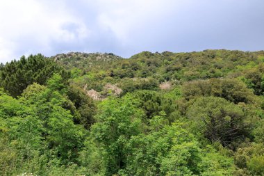 Güney Korsika 'daki dağ manzarası Fransa' daki Porto-Vecchio yolunda.