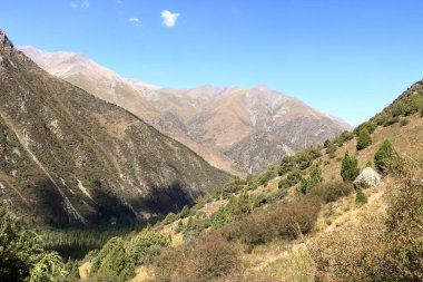 Yazın Ala Archa Milli Parkı 'ndaki dağ manzarası, Orta Asya' daki Kırgızistan