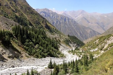 Yazın Ala Archa Milli Parkı 'ndaki dağ manzarası, Orta Asya' daki Kırgızistan