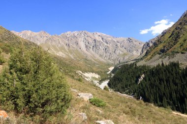 Yazın Ala Archa Milli Parkı 'ndaki dağ manzarası, Orta Asya' daki Kırgızistan
