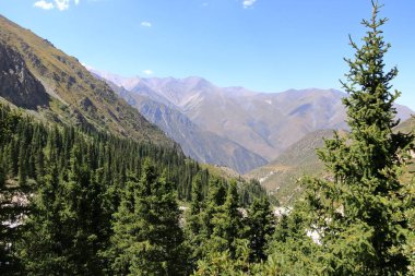 Yazın Ala Archa Milli Parkı 'ndaki dağ manzarası, Orta Asya' daki Kırgızistan