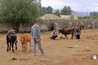 25 Ağustos 2023 - Kırgızistan 'da Kotschkor, Kochkor: Hayvanları alıp satan yerel halk
