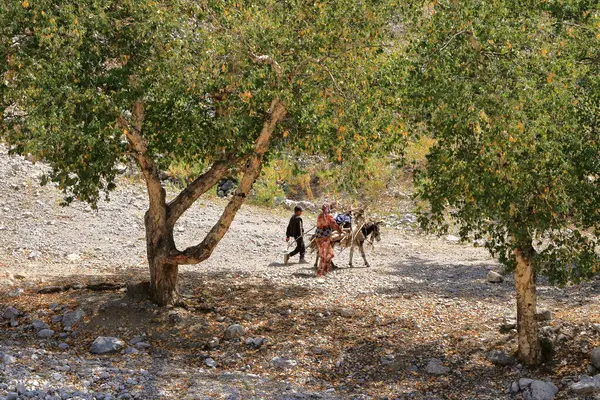 22 Ağustos 2023 - Orta Asya 'daki Arslanbob, Kırgızistan: küçük bir köydeki insanların evleri ve günlük yaşamları