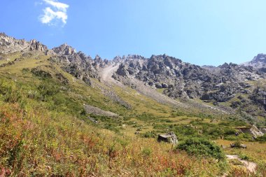 Yazın Ala Archa Milli Parkı 'ndaki dağ manzarası, Orta Asya' daki Kırgızistan