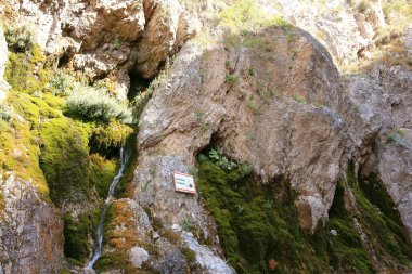 Arslanbob, Kırgızistan, Orta Asya yakınlarındaki şelalenin eteğindeki nehir.