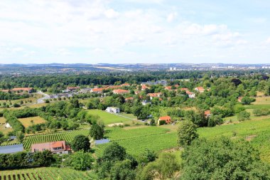 Pillnitz üzüm bağlarından Dresden manzarası