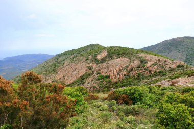 Korsika 'daki Monte Gozzi' nin tepesinden görüntü