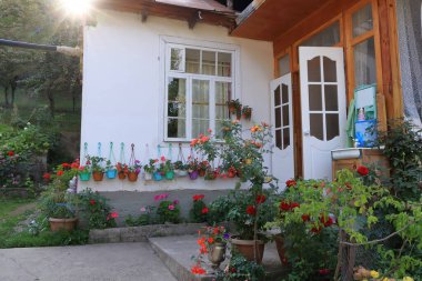 22 Ağustos 2023 - Orta Asya 'daki Arslanbob, Kırgızistan: küçük bir köydeki insanların evleri ve günlük yaşamları