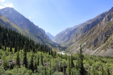 Yazın Ala Archa Milli Parkı 'ndaki dağ manzarası, Orta Asya' daki Kırgızistan