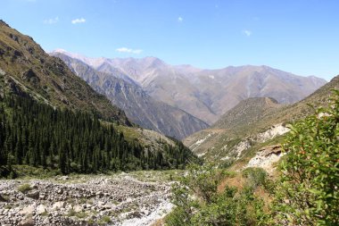 Yazın Ala Archa Milli Parkı 'ndaki dağ manzarası, Orta Asya' daki Kırgızistan