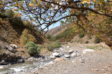 Kırgızistan, Orta Asya 'da Kaldaman geçidi yakınlarındaki Urumbash nehrinin manzarası.