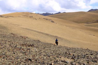 Kırgızistan, Orta Asya 'daki Songkol Gölü' ndeki petroglifler.