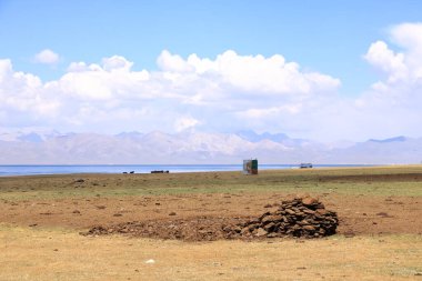 Kırgızistan, Orta Asya 'da bir at çiftliğinde ısıtma yakıtı olarak büyük bir gübre yığını.