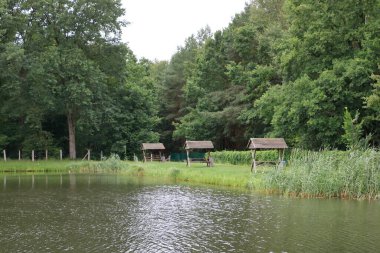Almanya 'da Brandenburg yakınlarında küçük bir gölde balık tutmak