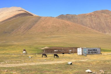 20 Ağustos 2023 - Orta Asya 'da Kırgızistan: İnsanlar Ala-Bel Geçidi' nde kumis için süt sağmak için kısrak sağıyor