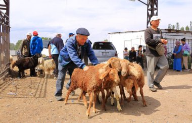 25 Ağustos 2023 - Kırgızistan 'da Kotschkor, Kochkor: Hayvanları alıp satan yerel halk
