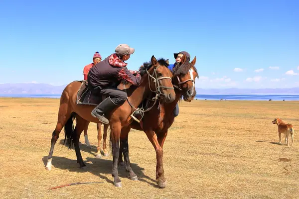 Agosto 2023 Song Kol Lake Kirguistán Oodarysh Lucha Caballo Orillas Imágenes de stock libres de derechos