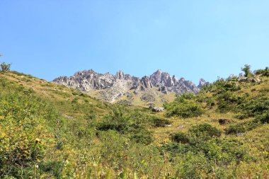 Yazın Ala Archa Milli Parkı 'ndaki dağ manzarası, Orta Asya' daki Kırgızistan