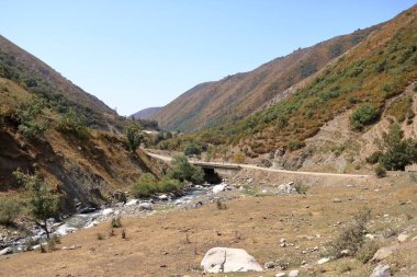 Kırgızistan, Orta Asya 'da Kaldaman geçidi yakınlarındaki Urumbash nehrinin manzarası.