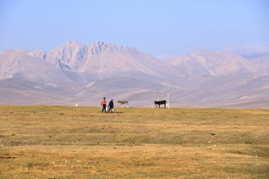 23 Ağustos 2023 - Kırgızistan 'daki Song Kol Gölü: Göçebe insanlar yaz otlaklarında sıradan hayatlarını yaşıyorlar