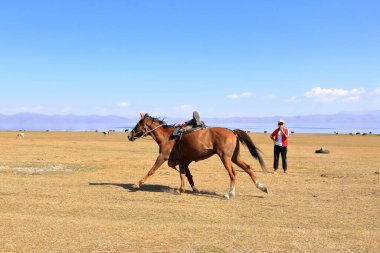 24 Ağustos 2023 - Kırgızistan 'da Song Kol Gölü: Tyjin Emei Göçebe Oyunu, Bir adam yerden para toplamaya çalışıyor