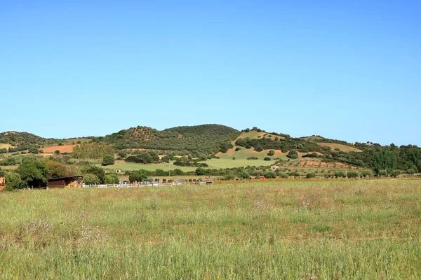 a typical landscape in Sardinia in spring, Italy