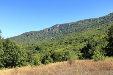 Elşani yakınlarındaki Kuzey Makedonya 'daki Ulusal Park Galiçyası