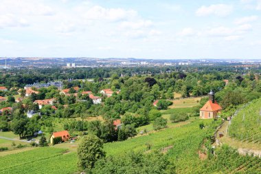 Pillnitz üzüm bağlarından Dresden manzarası