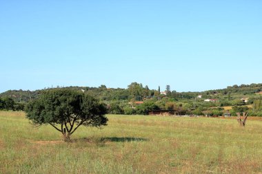İtalya, ilkbaharda Sardunya 'da tipik bir manzara