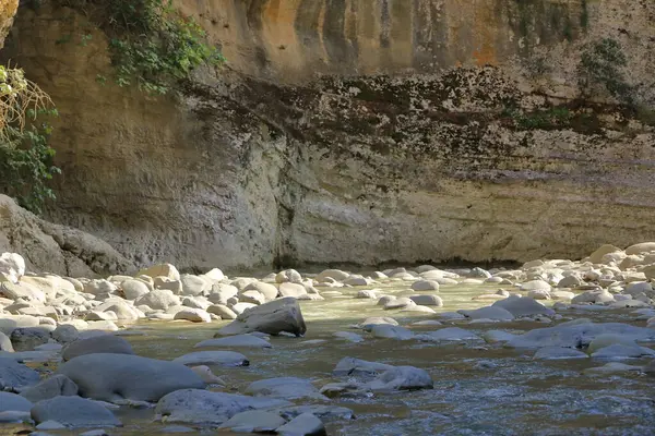 阿尔巴尼亚Permet的Hotova国家公园冷杉中美丽的Lengarica峡谷 免版税图库照片