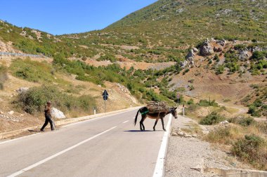 13 Eylül 2023 - Arnavutluk 'un Prespa Gölü: Eşek ve çiftçiler (Equus africanus asinus) karşıya geçtiler