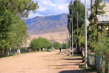 26 Ağustos 2023 - Bokonbayevo, Kırgızistan Issyk-Kul Bölgesi: Küçük köyde sokak manzarası