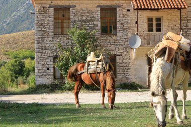 Bazı Atlar Bir Evin Önünde Duruyor