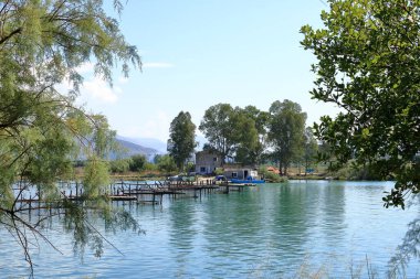 the Shore of Lake Butrint lagoon in Butrint National Park, Albania clipart