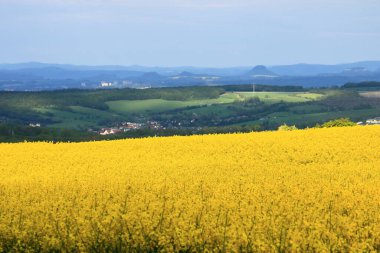 Almanya 'daki Sakson İsviçre rezervinde kayalardan oluşan bir panorama.