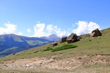Kırgızistan 'ın kuzeyindeki Kyrchyn Gorge, Orta Asya